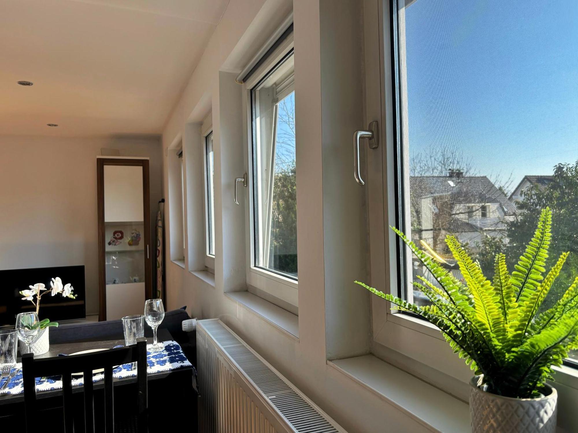 Quiet Garden-view Studio Düsseldorf